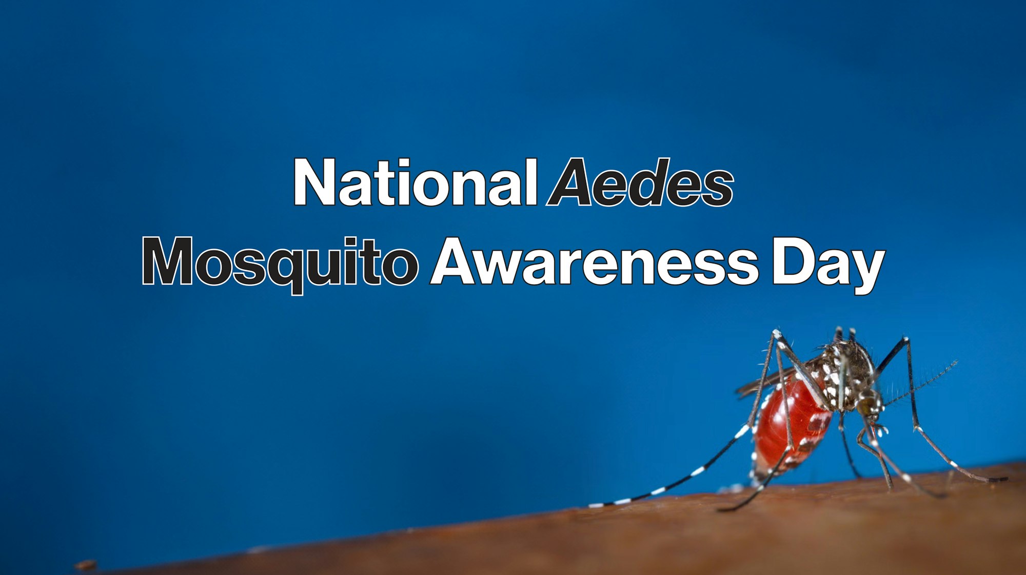 A mosquito on a surface, with text "National Aedes Mosquito Awareness Day" against a blue background.