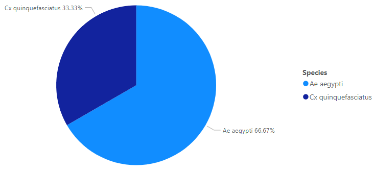 The image is a pie chart showing species distribution: Ae aegypti (66.67%) and Cx quinquefasciatus (33.33%).