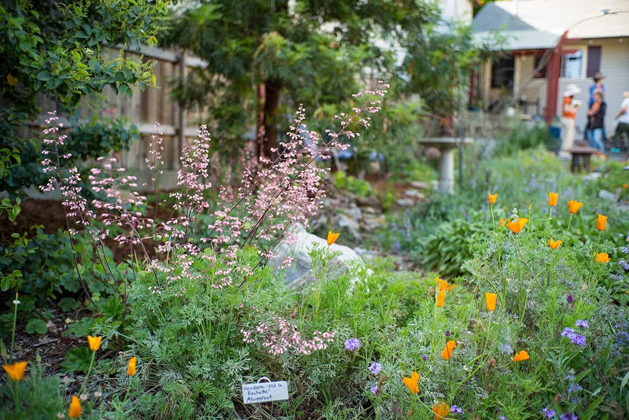 May contain: human, person, outdoors, plant, flower, blossom, garden, pottery, jar, vase, and potted plant