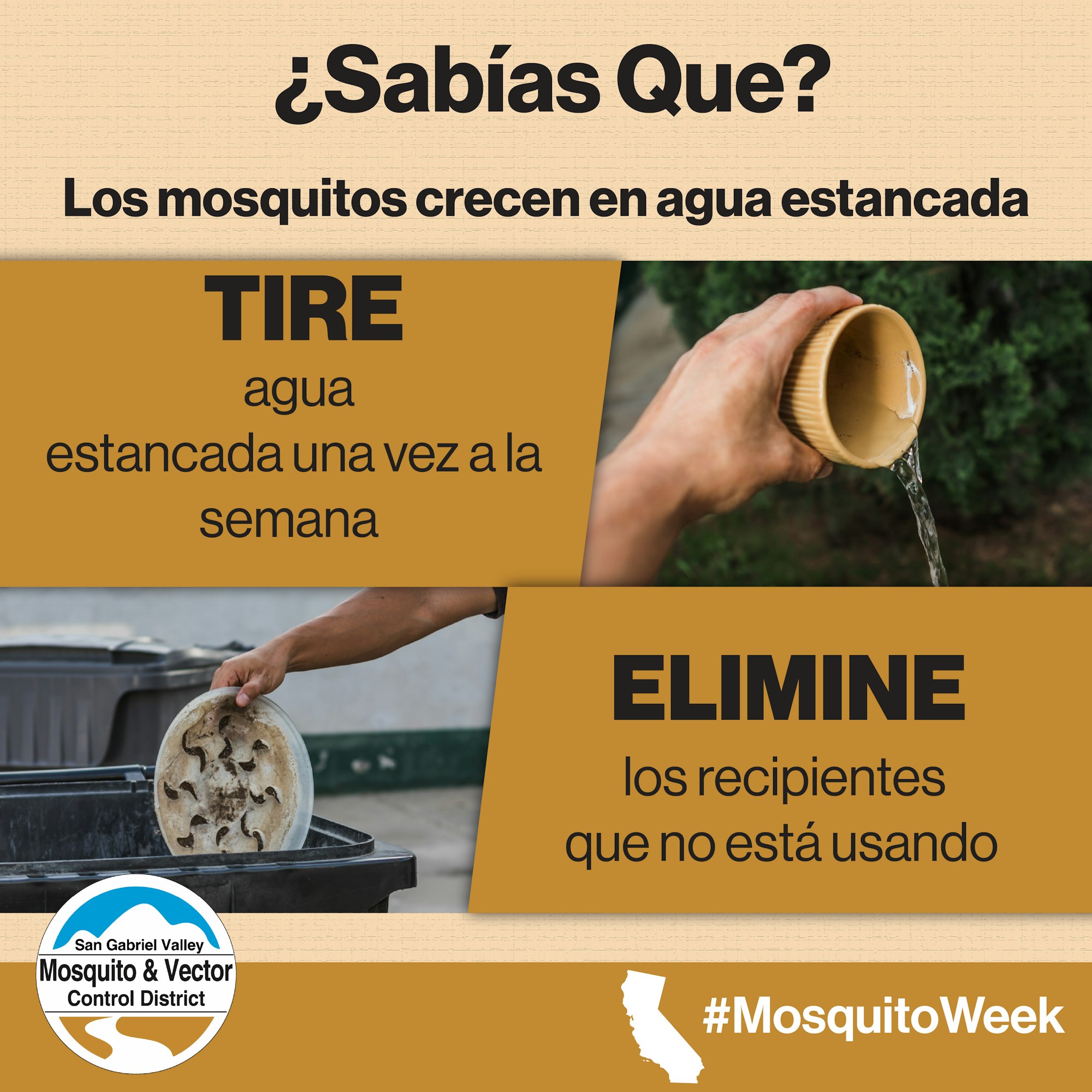 ¿Sabías que los mosquitos crecen en agua estancada? Tira agua semanalmente y elimina recipientes no usados. #MosquitoWeek
