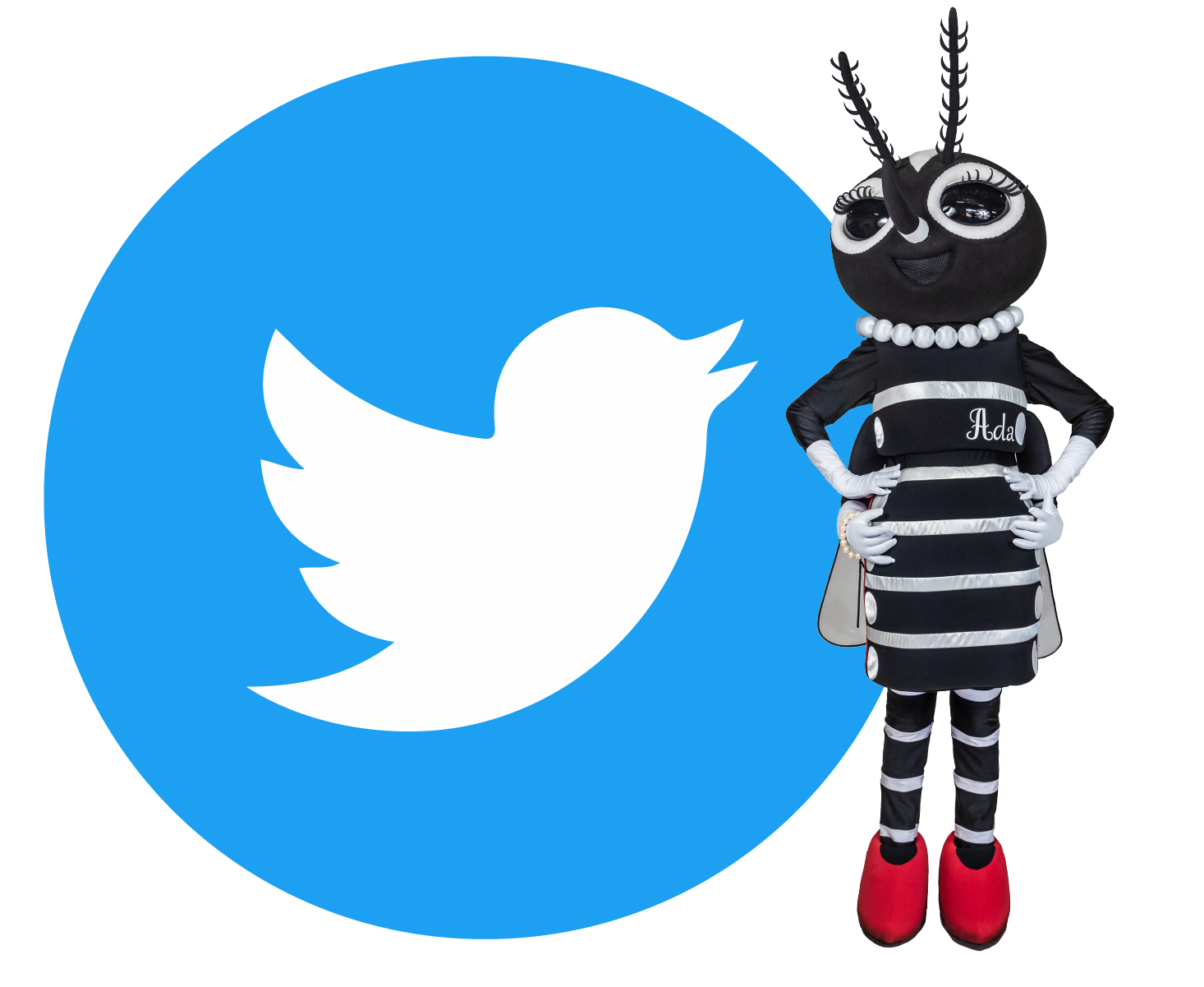 Ada Eez on Twitter