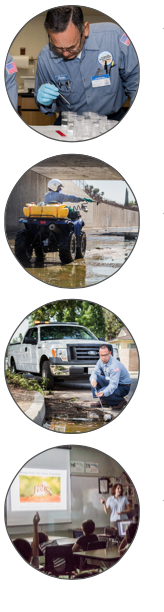 Vector control at work