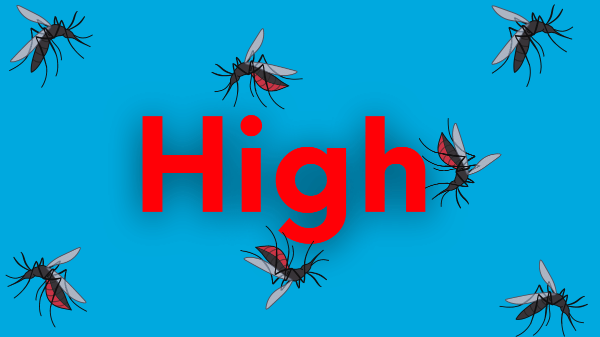 The image features the word "High" in bold red, surrounded by cartoon mosquitoes on a blue background.