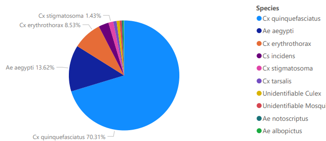 Pie chart showing mosquito species distribution: Cx quinquefasciatus 70.31%, Ae aegypti 13.62%, Cx erythrothorax 8.53%, others less.