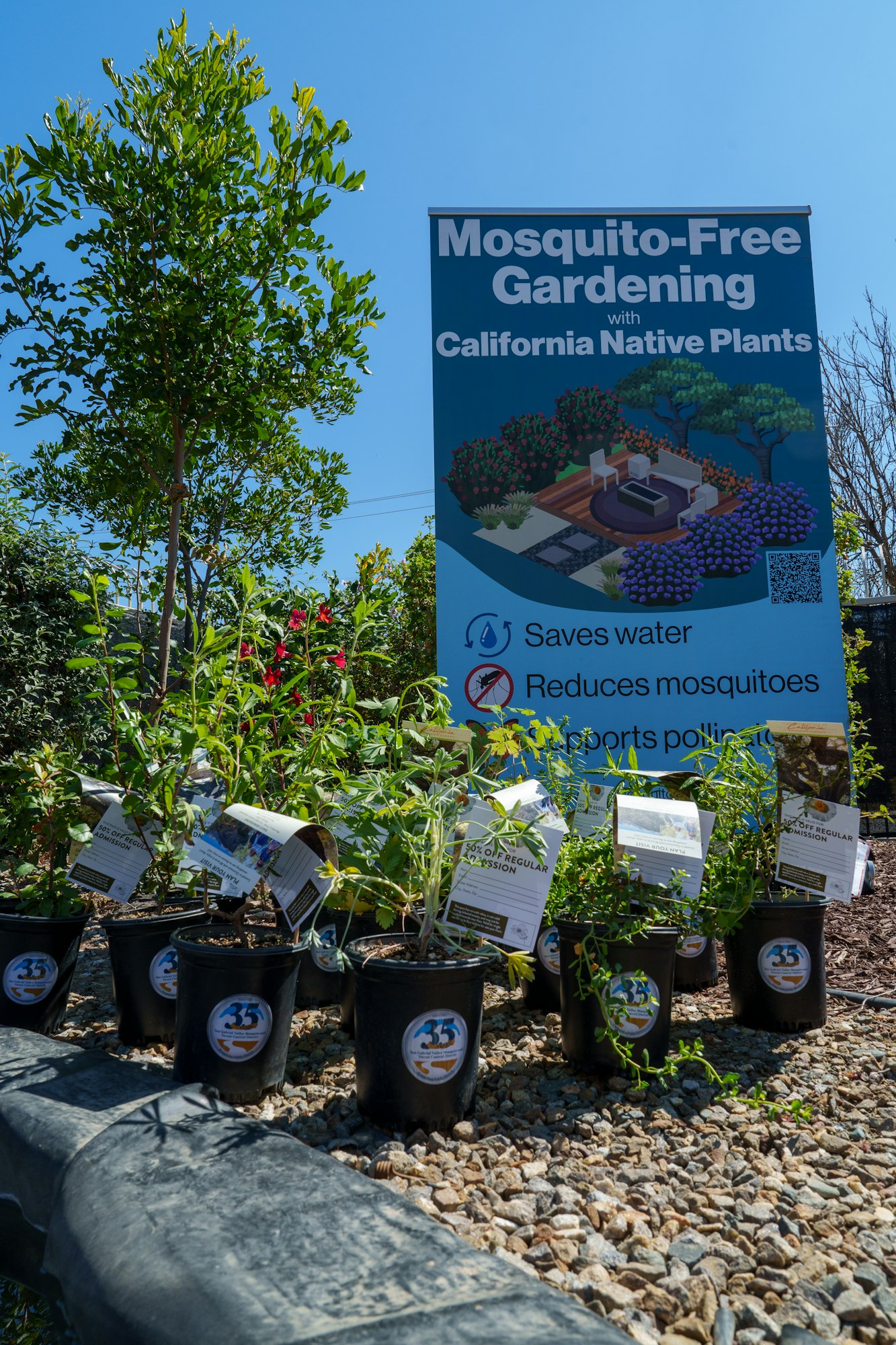 Plants for sale with a sign promoting mosquito-free gardening using California native plants, highlighting water conservation and pollinator support.