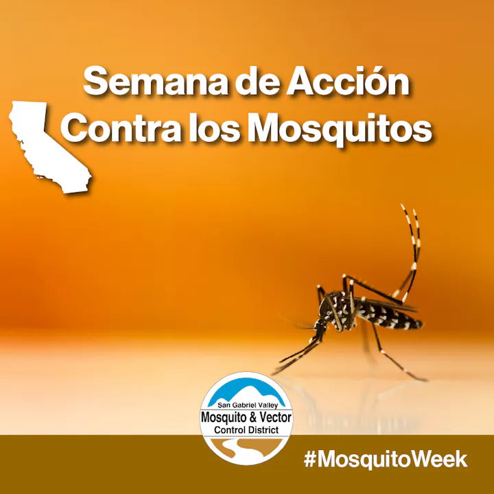 The image promotes "Semana de Acción Contra los Mosquitos" for mosquito awareness in California, featuring a mosquito. #MosquitoWeek