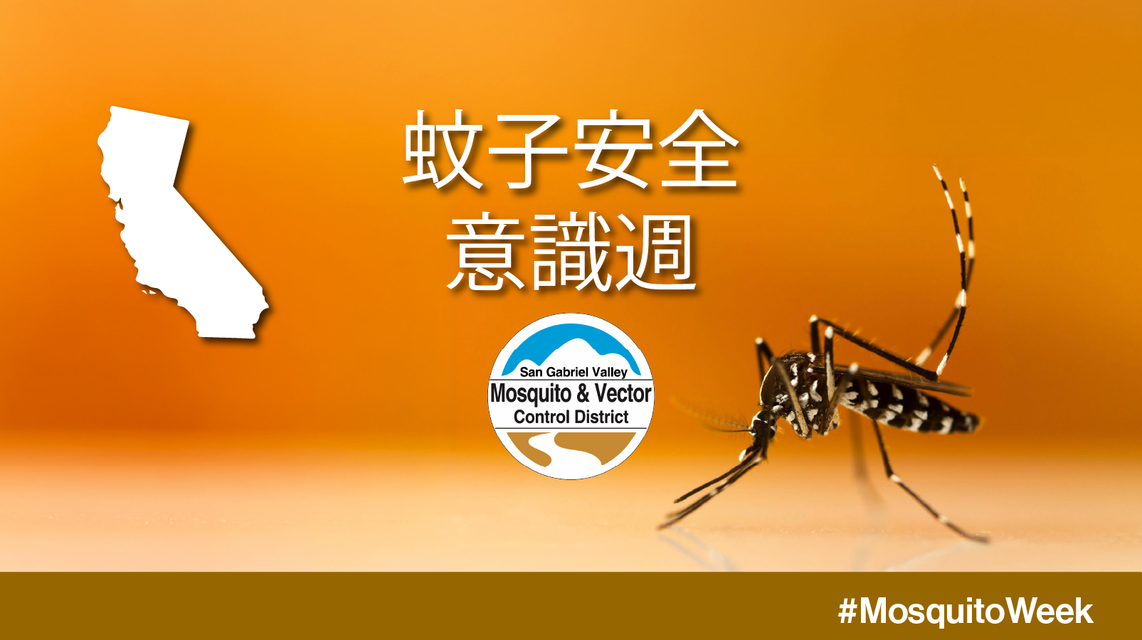 The image promotes "Mosquito Awareness Week" with a mosquito, a California outline, and the San Gabriel Valley Mosquito Control District logo.