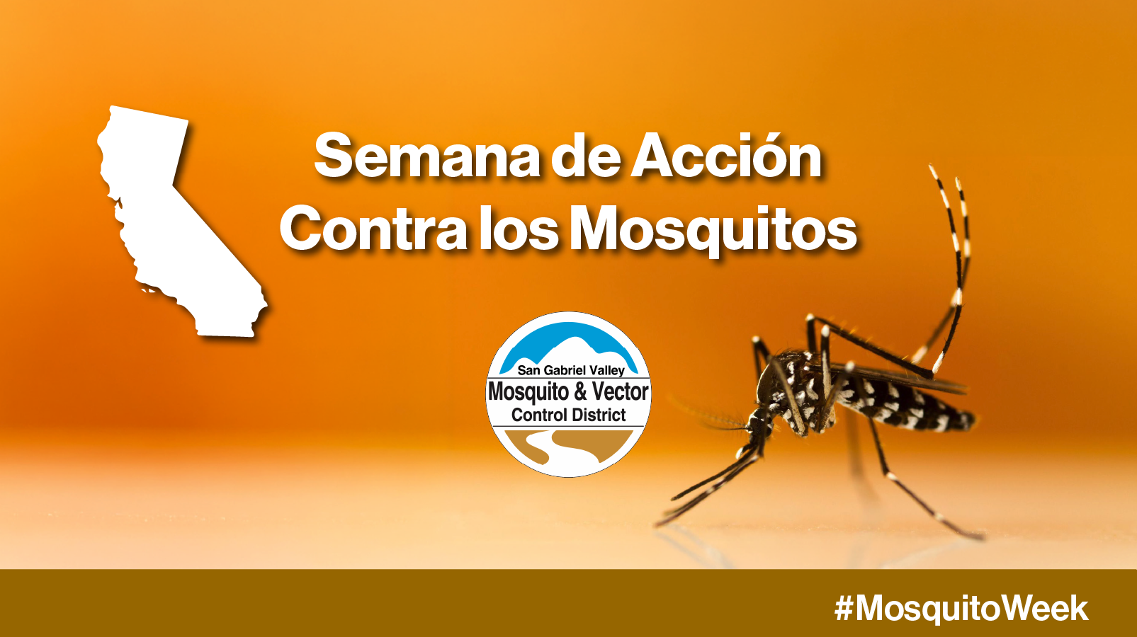 The image promotes "Mosquito Action Week" in California, featuring a mosquito and information from the San Gabriel Valley control district.