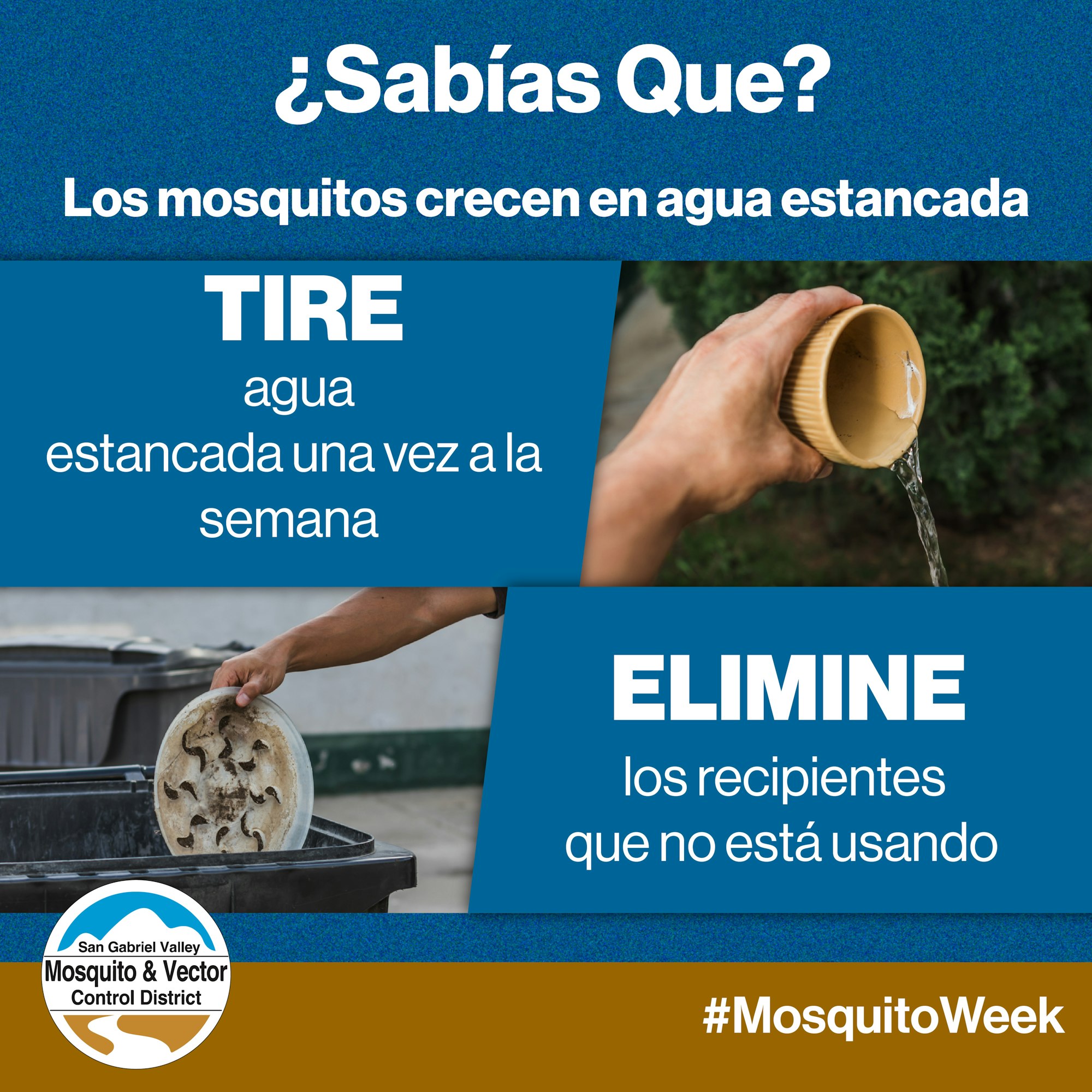 Advice on preventing mosquitoes: Drain stagnant water weekly and remove unused containers. #MosquitoWeek