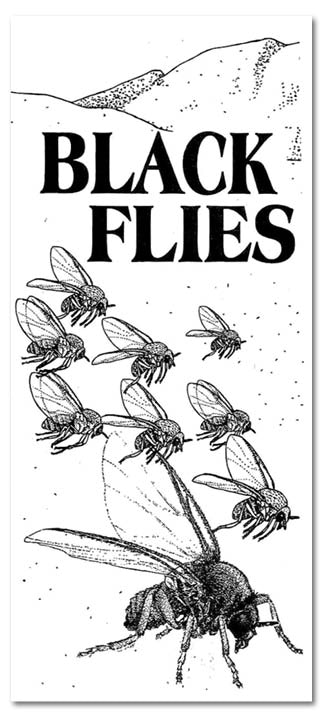 May contain: bee, wasp, insect, invertebrate, andrena, hornet, and animal