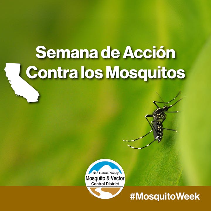 "Semana de Acción Contra los Mosquitos" with a mosquito image and California outline, San Gabriel Valley Mosquito & Vector Control label.