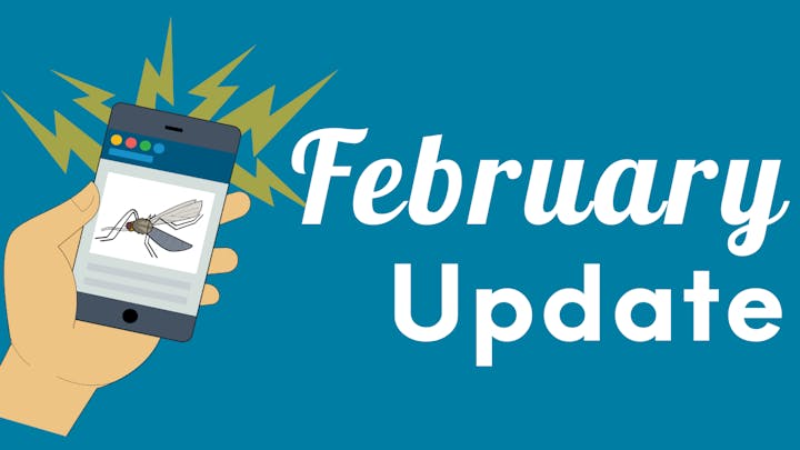 Hand holding phone showing mosquito image; text reads "February Update."