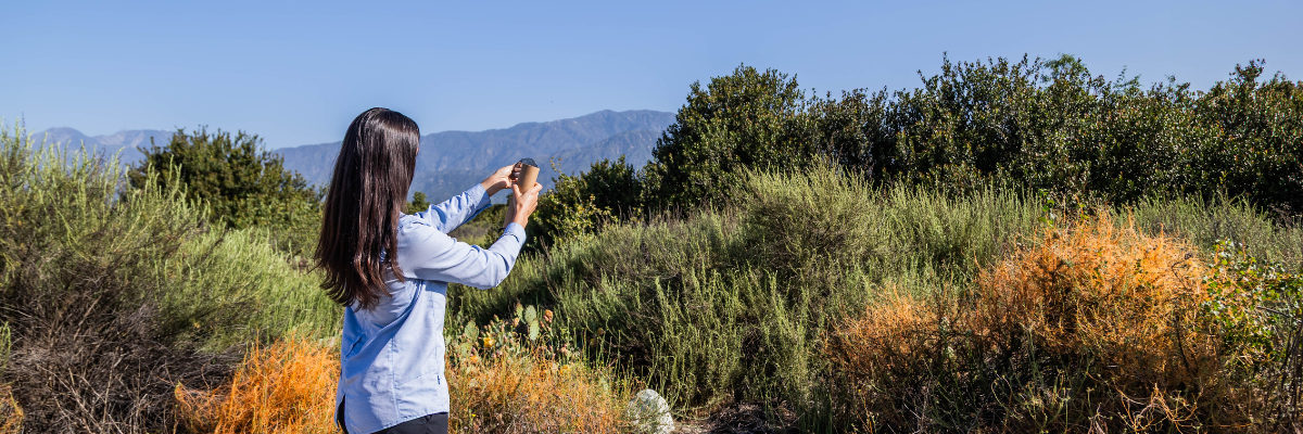 Person taking a photo of nature with shrubs, mountains, and a clear sky in the background.