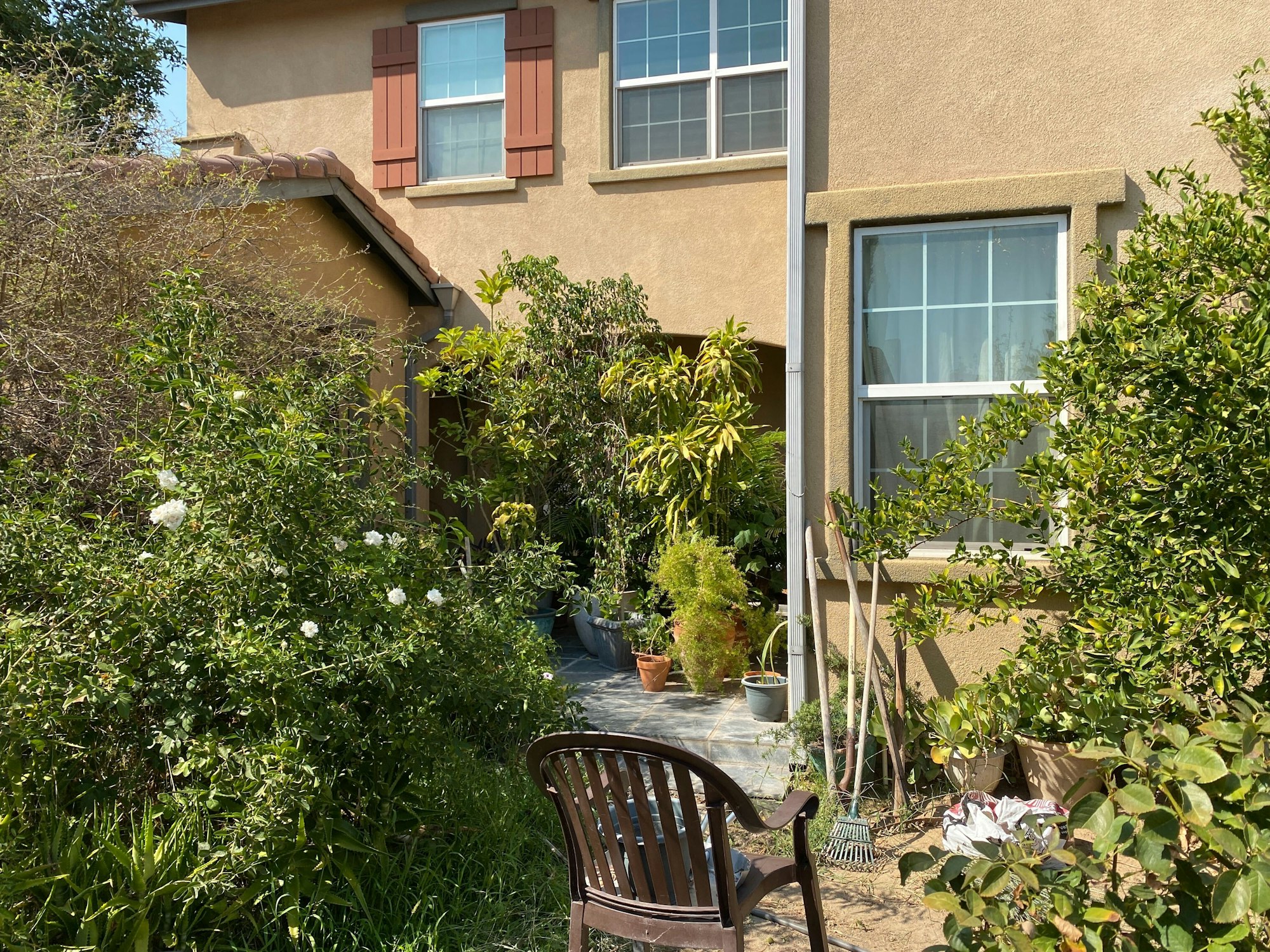 A garden area with various plants and bushes in front of a house, featuring a brown chair and sunlight shining in.