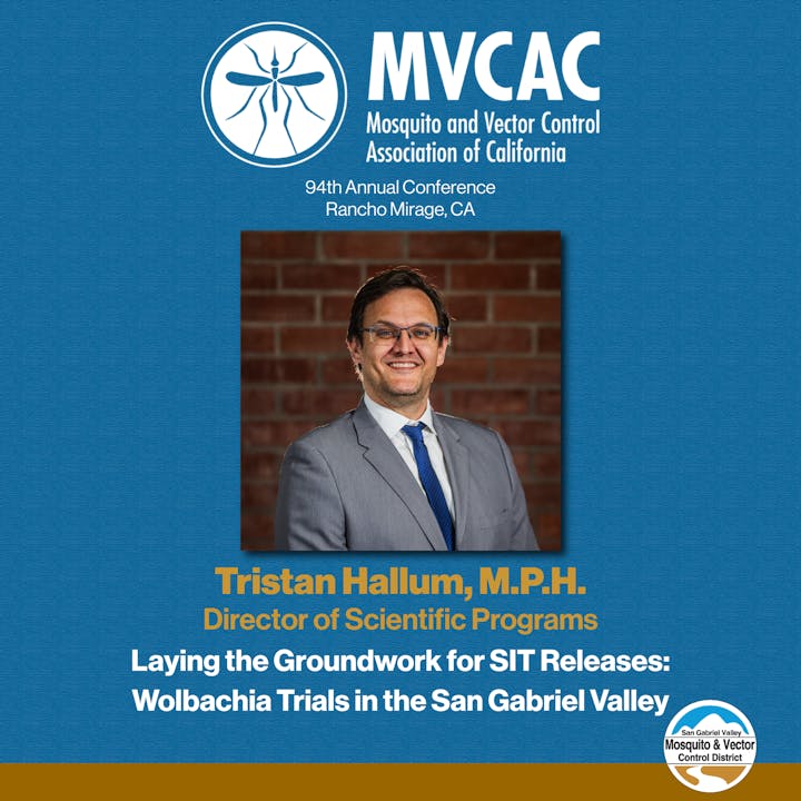 An announcement for the 94th MVCAC Conference featuring Tristan Hallum discussing Wolbachia trials in San Gabriel Valley.