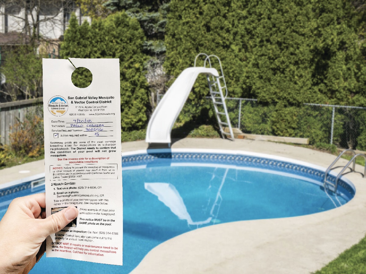 May contain: person, human, poster, advertisement, paper, flyer, and brochure