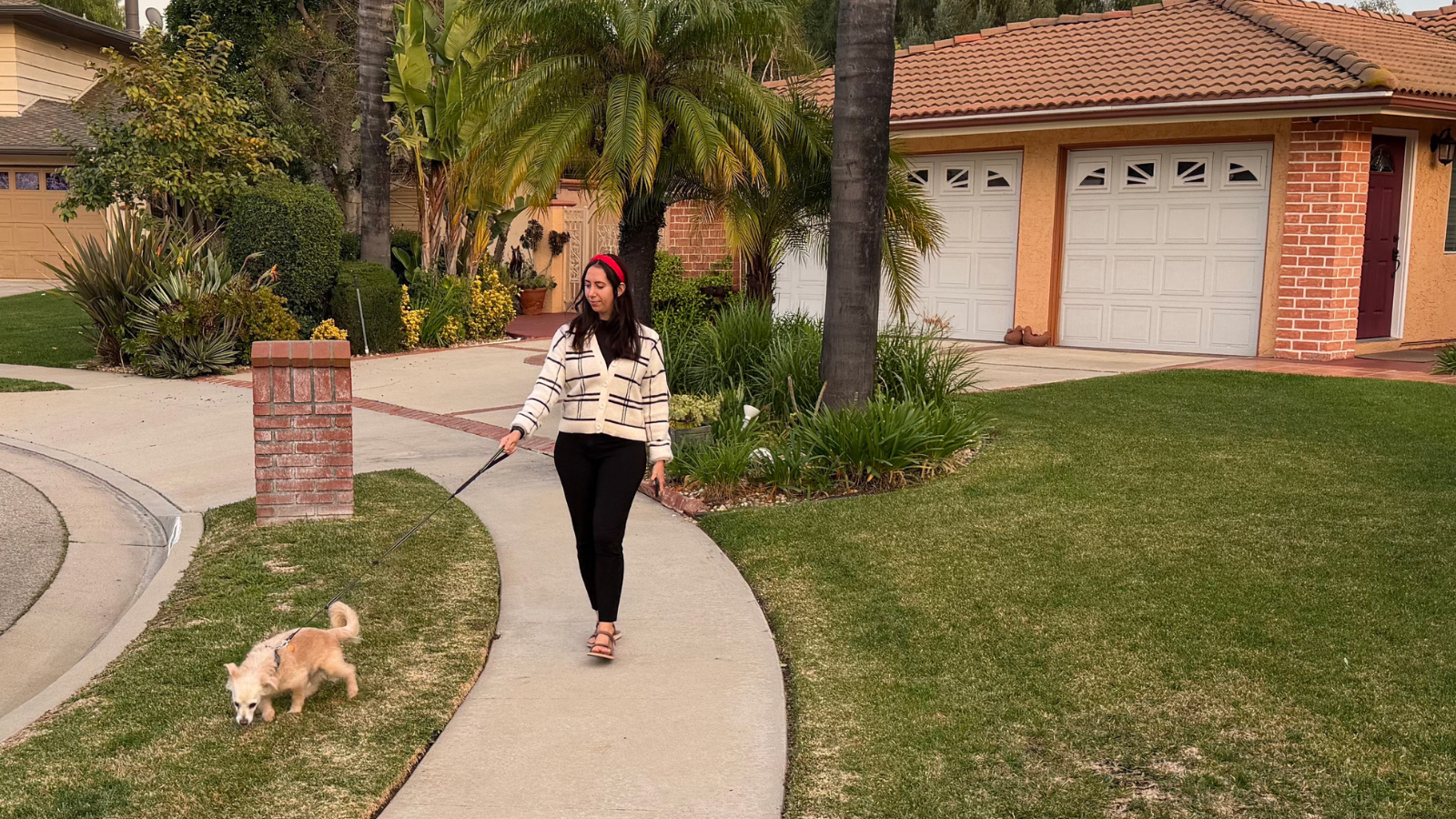 A woman walks her dog along a curved sidewalk in a residential area with lush greenery and homes in the background.