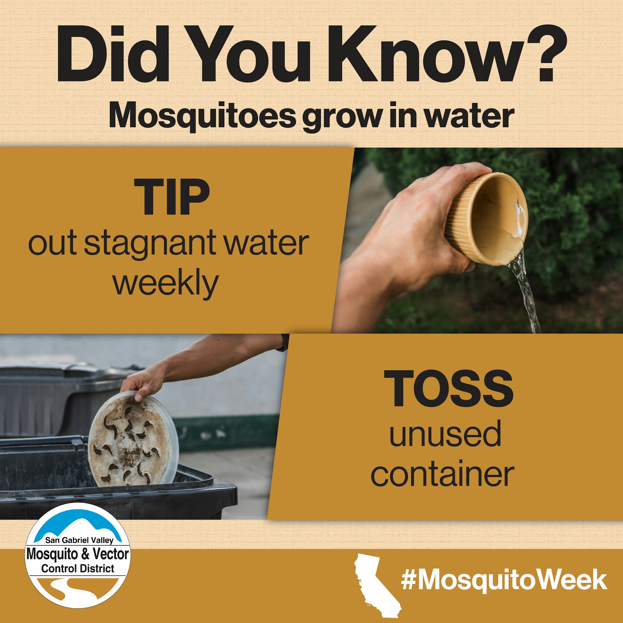 "Tip out stagnant water weekly. Toss unused containers. Mosquitoes grow in water. #MosquitoWeek."