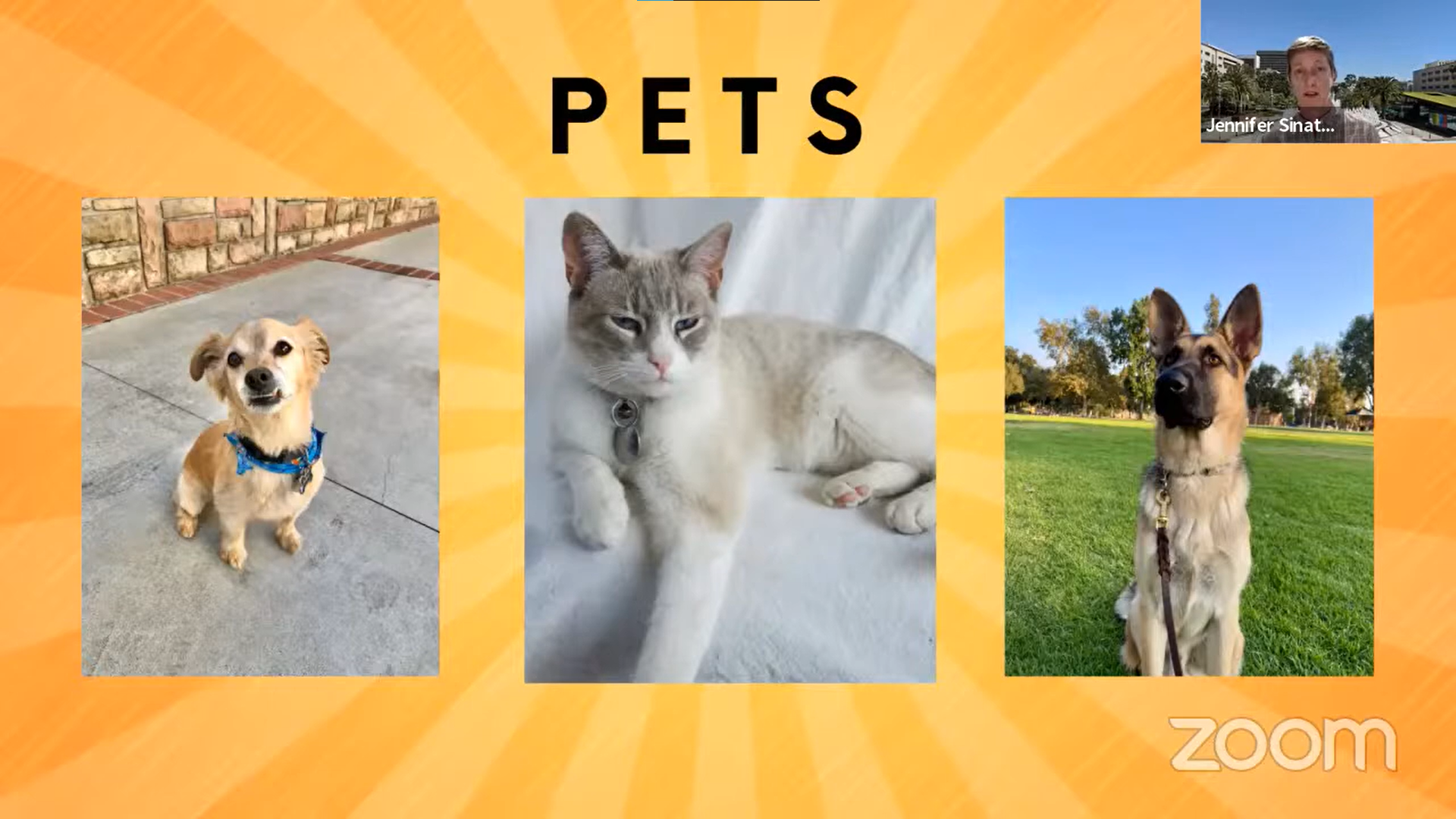 May contain: person, human, dog, mammal, canine, animal, pet, and cat