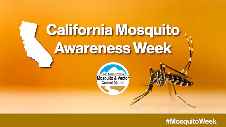 The image promotes California Mosquito Awareness Week, featuring a mosquito and the San Gabriel Valley Mosquito & Vector Control logo.