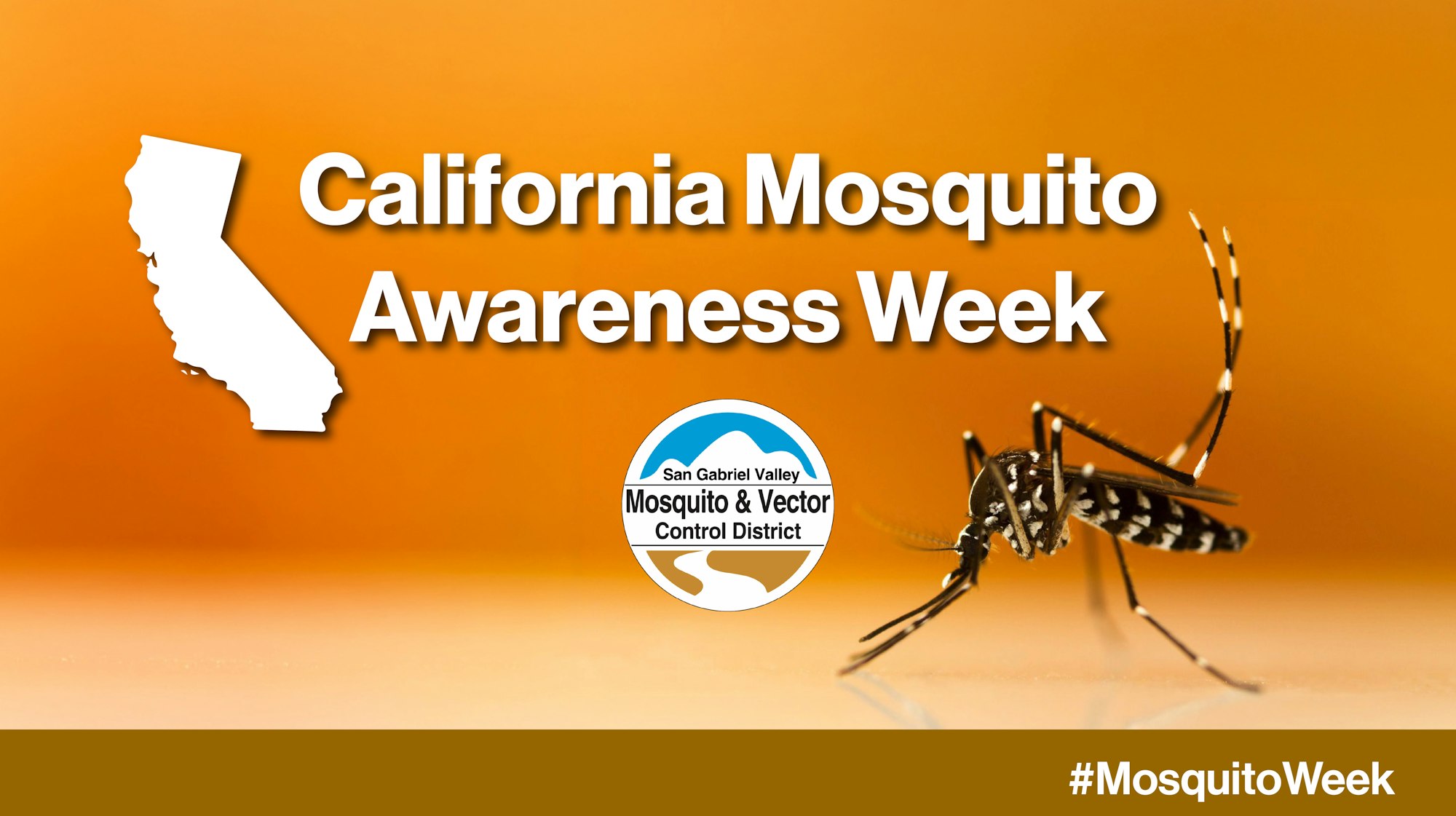 The image promotes California Mosquito Awareness Week, featuring a mosquito and the San Gabriel Valley Mosquito & Vector Control logo.