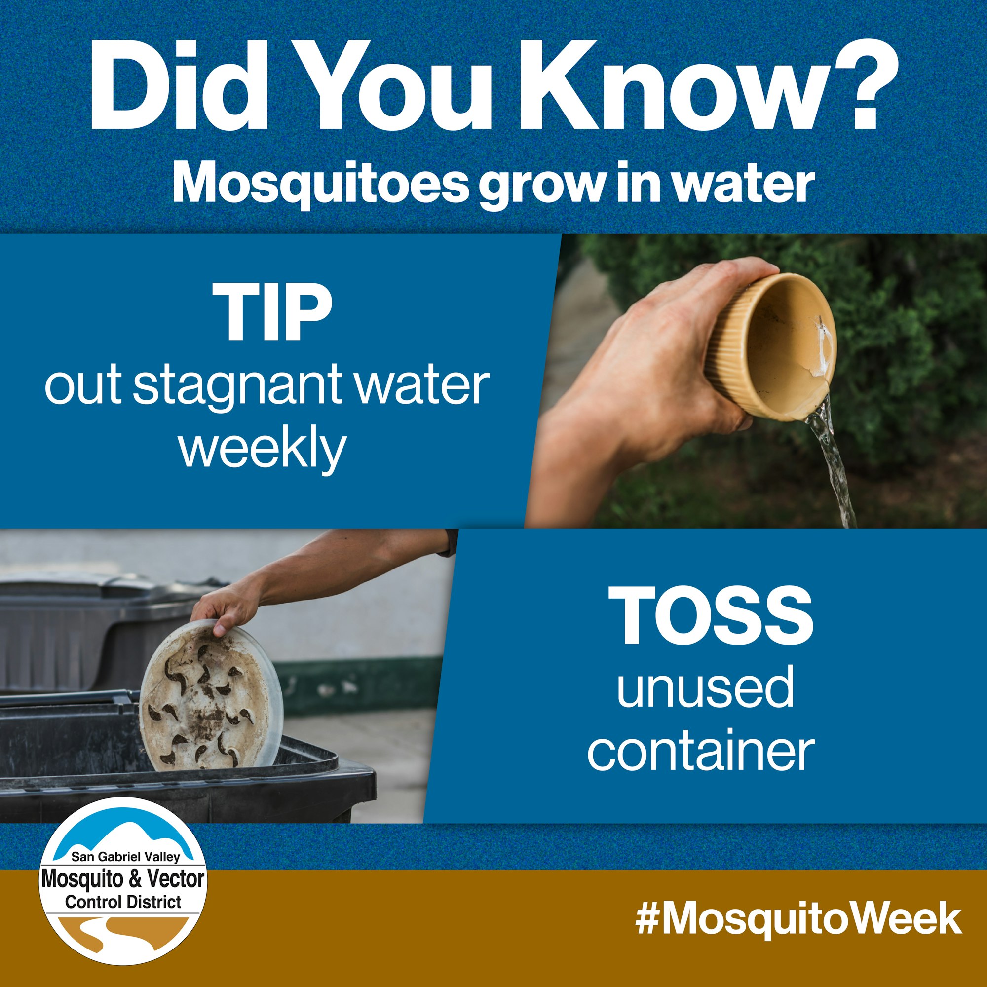 "Tip out stagnant water weekly, toss unused containers. Mosquitoes grow in water. #MosquitoWeek"
