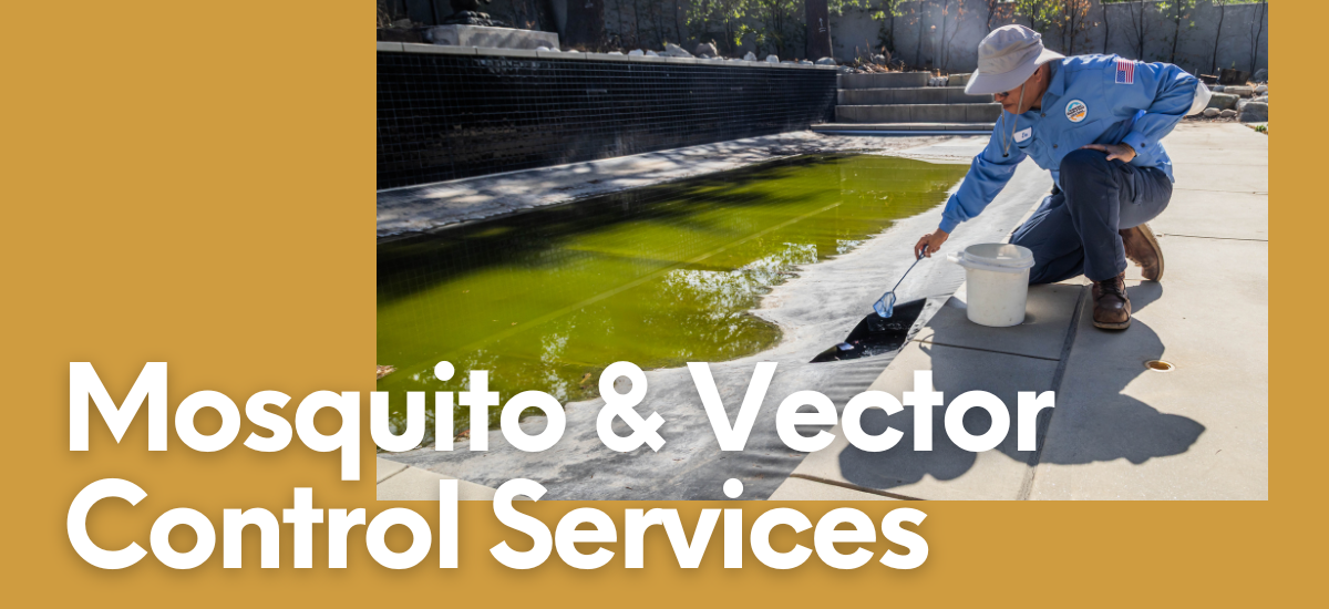 A person is performing mosquito and vector control services near a green pool.