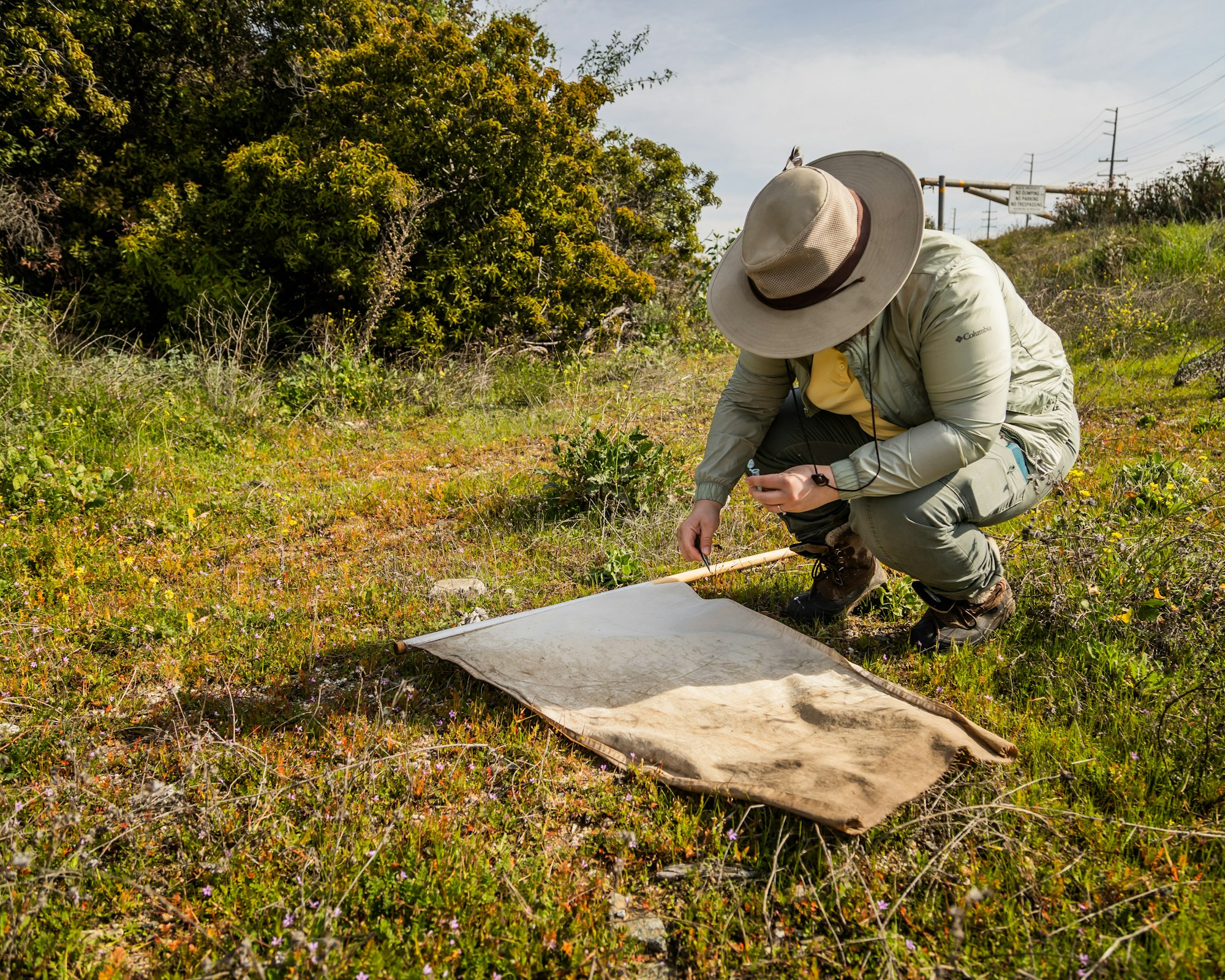 Person in a hat measuring a white sheet on grassy ground.