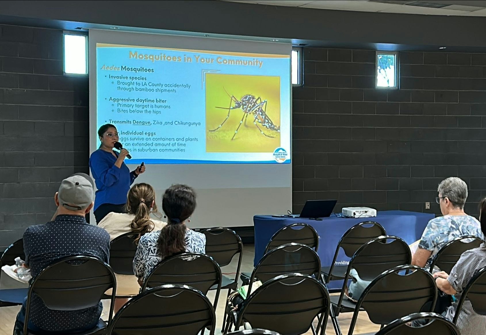 A presentation on Aedes mosquitoes, discussing their impact, biting behavior, and disease transmission in the community.