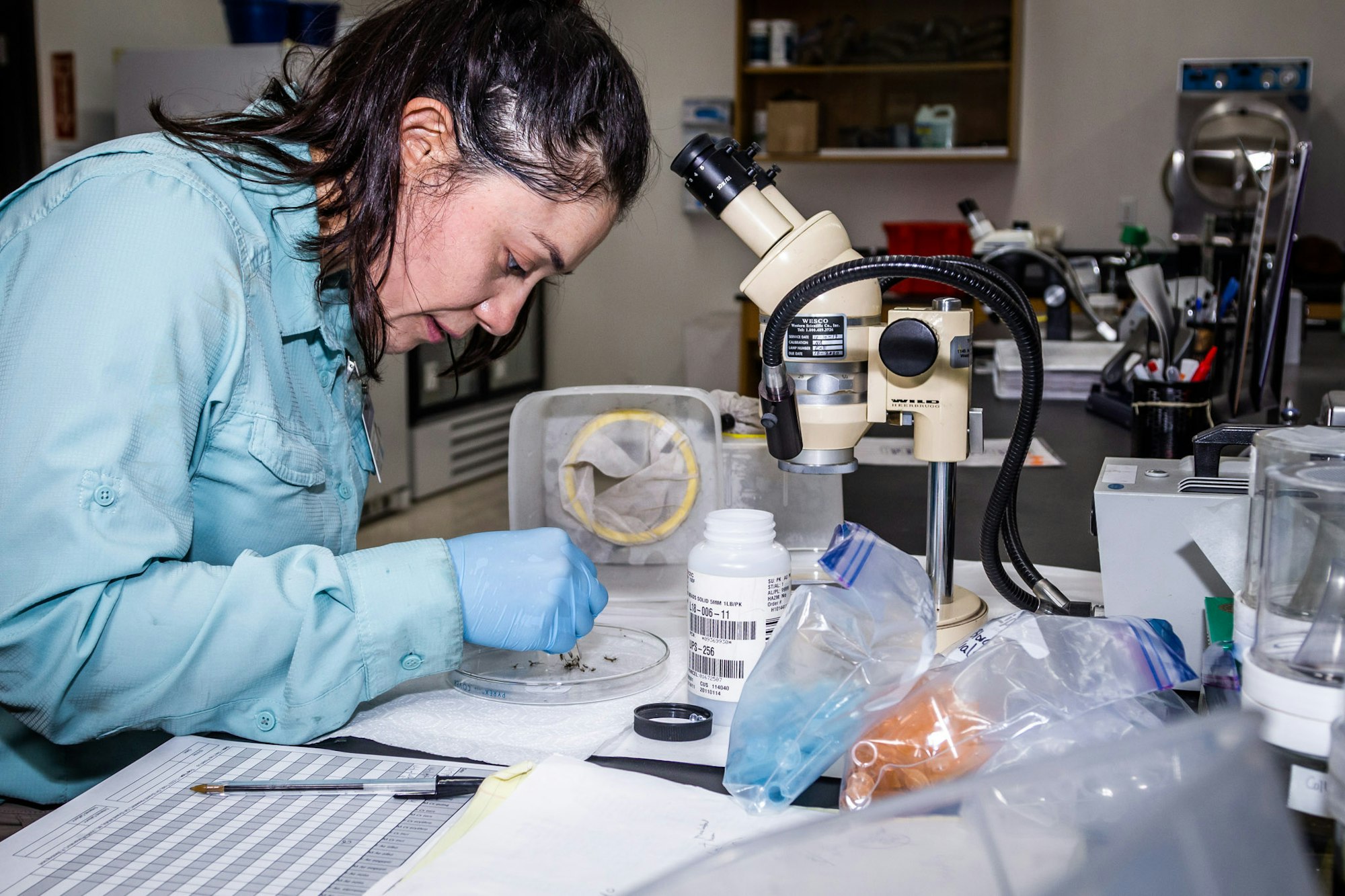 A scientist examining a specimen in a lab filled with equipment like microscopes and test materials.