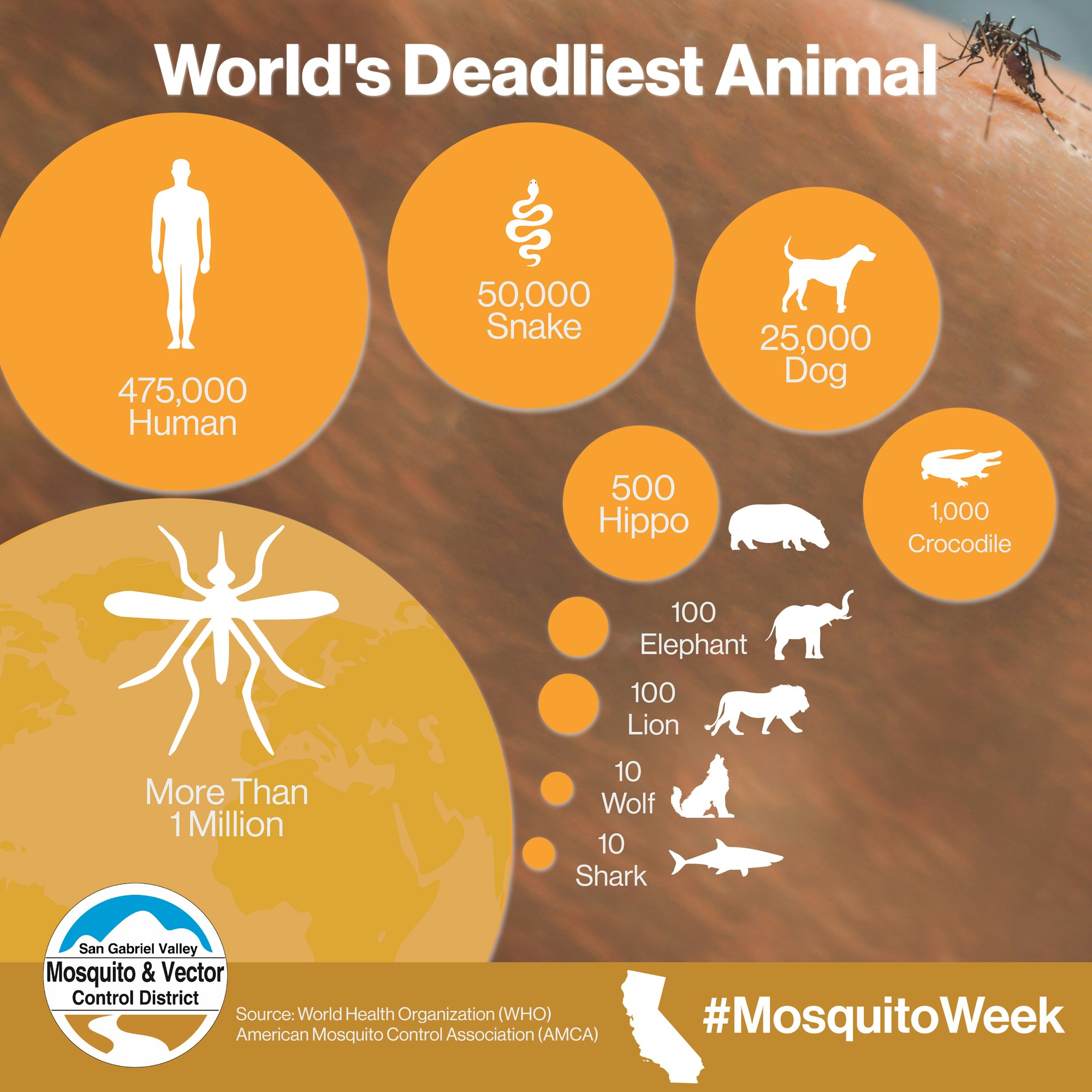 Infographic comparing annual deaths caused by animals. Mosquitoes top over 1M, followed by humans, snakes, dogs, and more. #MosquitoWeek