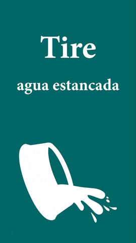 The image features a graphic with the text "Tire" and "agua estancada," suggesting the need to dispose of stagnant water.