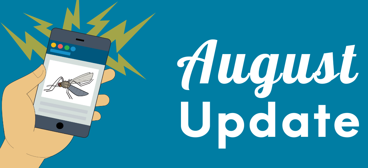 A hand holds a phone showing a mosquito with "August Update" text beside it.