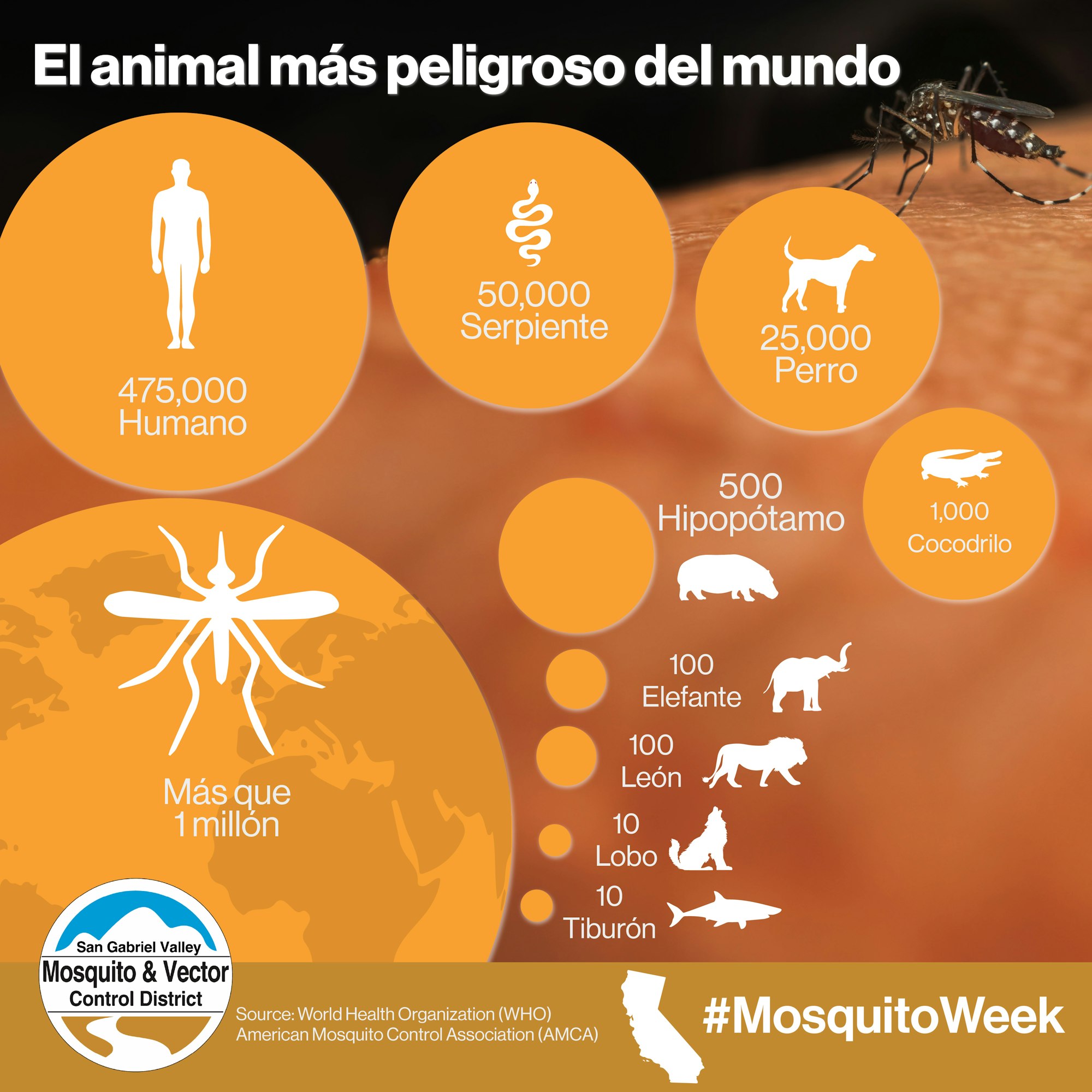 The image shows that mosquitoes are the deadliest animals, causing over 1 million deaths, surpassing other animals like humans and snakes.