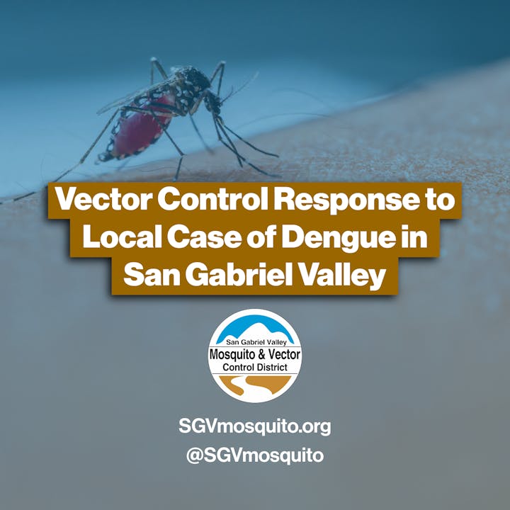 Mosquito image with text about dengue response in San Gabriel Valley, and links to SGVmosquito.org and @SGVmosquito.