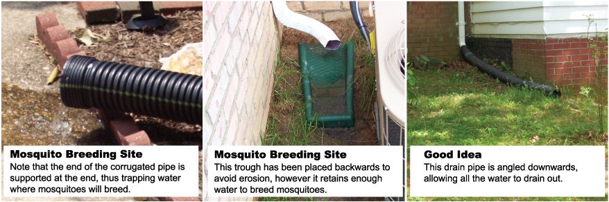 May contain: grass, plant, furniture, and chair