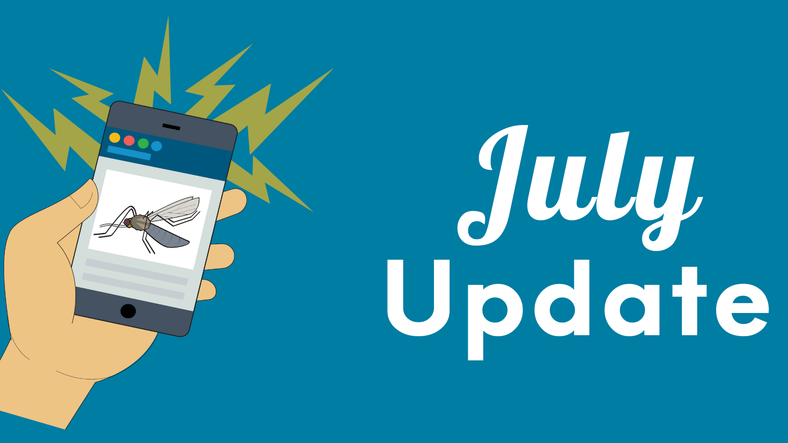 Hand holding phone showing a mosquito with a "July Update" text beside it.