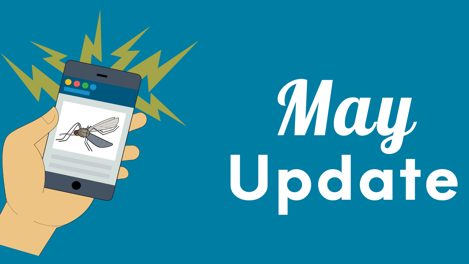 Hand holding phone showing mosquito image, with "May Update" text and lightning bolts in the background.