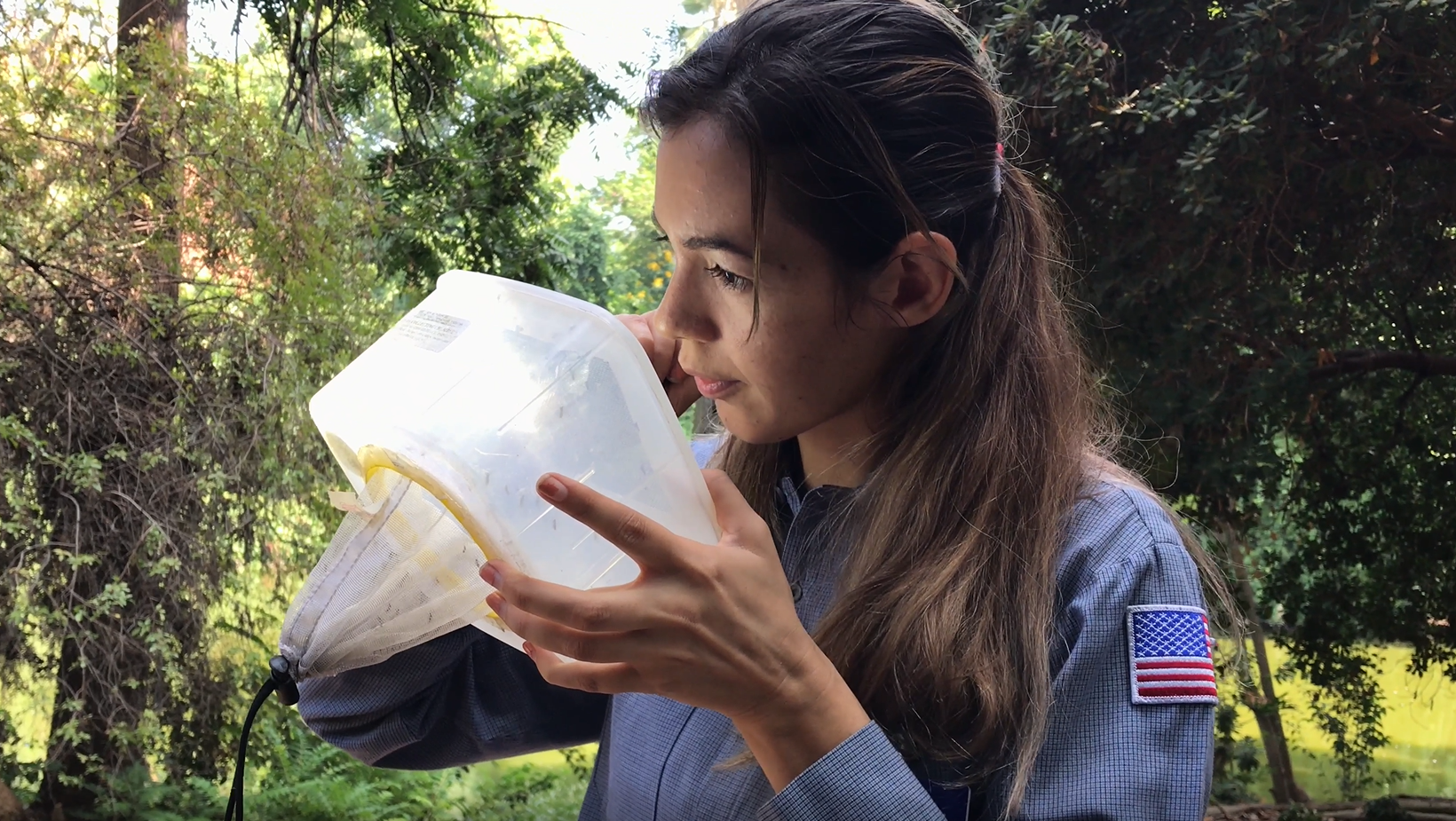 A person is observing something closely through a container with mesh, surrounded by greenery.
