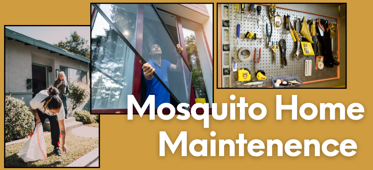 People fixing screens, cleaning yard, and a wall of tools for mosquito home maintenance.