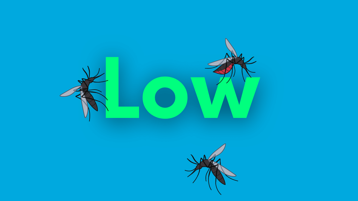 The image features the word "Low" in green, surrounded by illustrations of mosquitoes on a blue background.