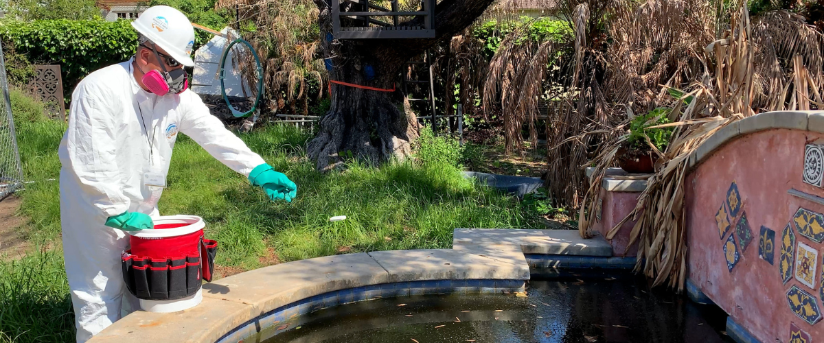 Person in protective gear treating a pond in a garden.