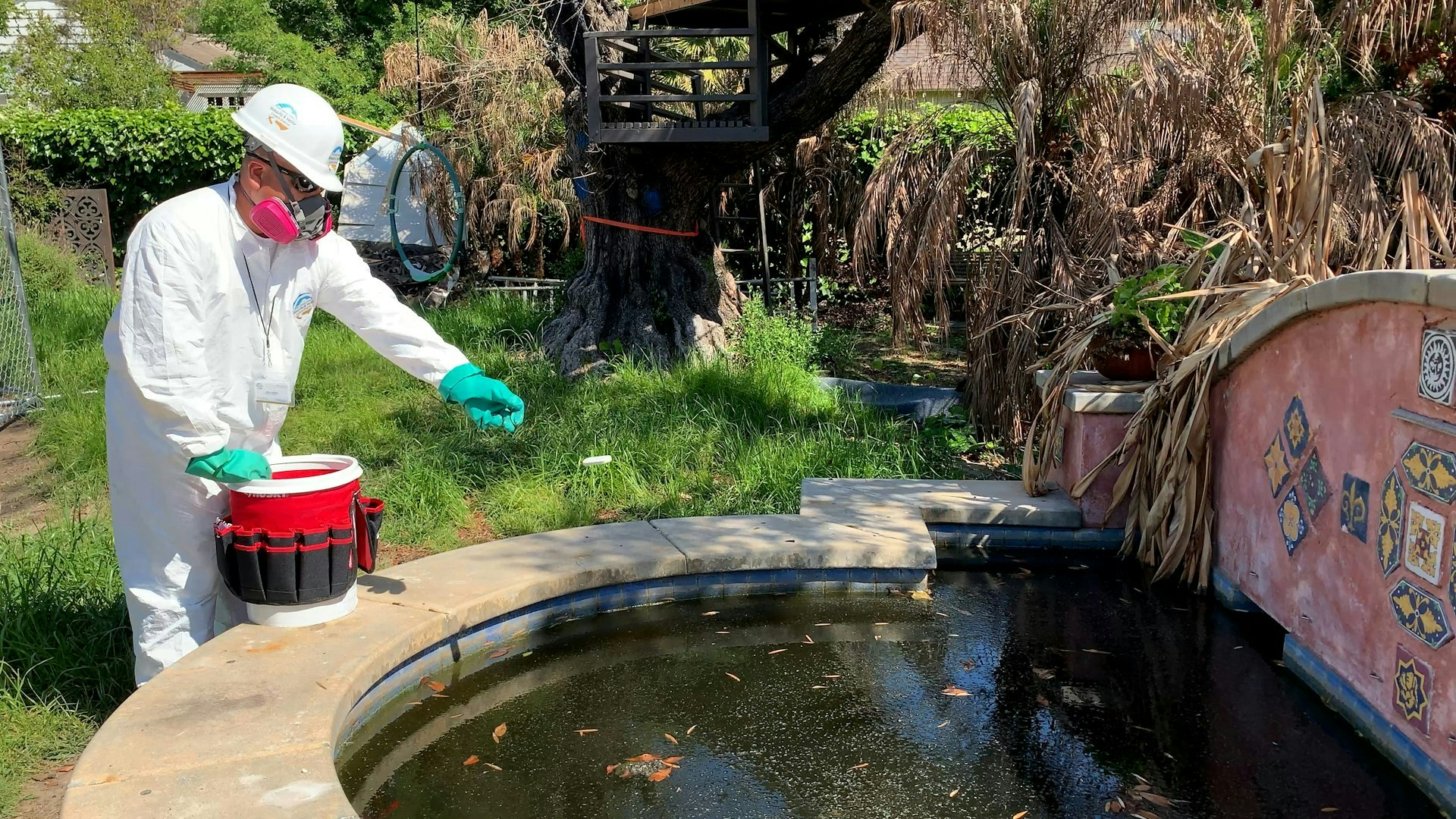 A person in protective gear is treating a pond with a bucket, surrounded by overgrown grass and dried plants.