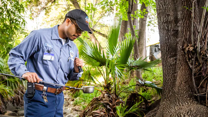 A worker in uniform examines plants near a tree, possibly using a tool for maintenance or assessment in a green environment.