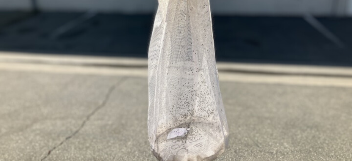 Transparent mesh bag with debris on the ground.