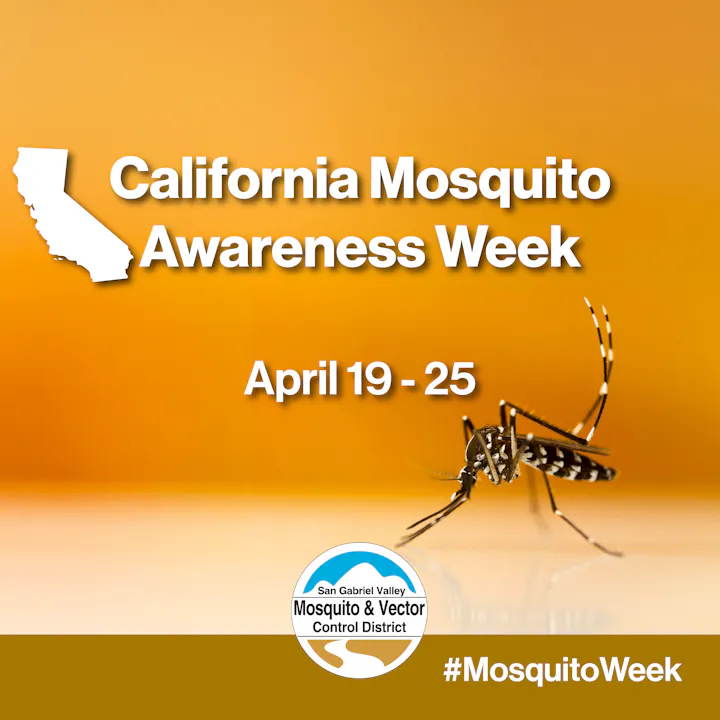 The image promotes California Mosquito Awareness Week from April 19 to 25, featuring a mosquito and a related logo.