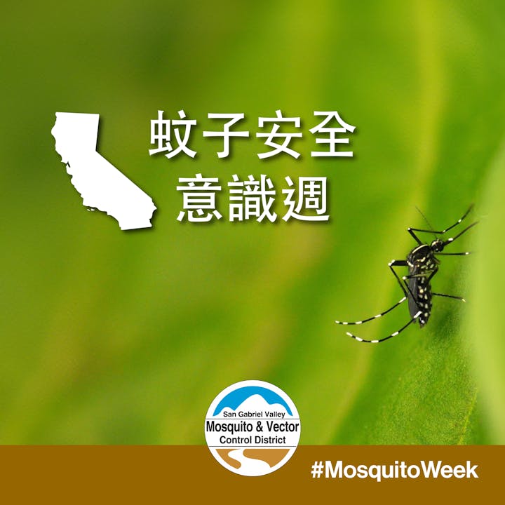 A mosquito on a leaf with text about mosquito awareness week, featuring California's map and a district logo. #MosquitoWeek