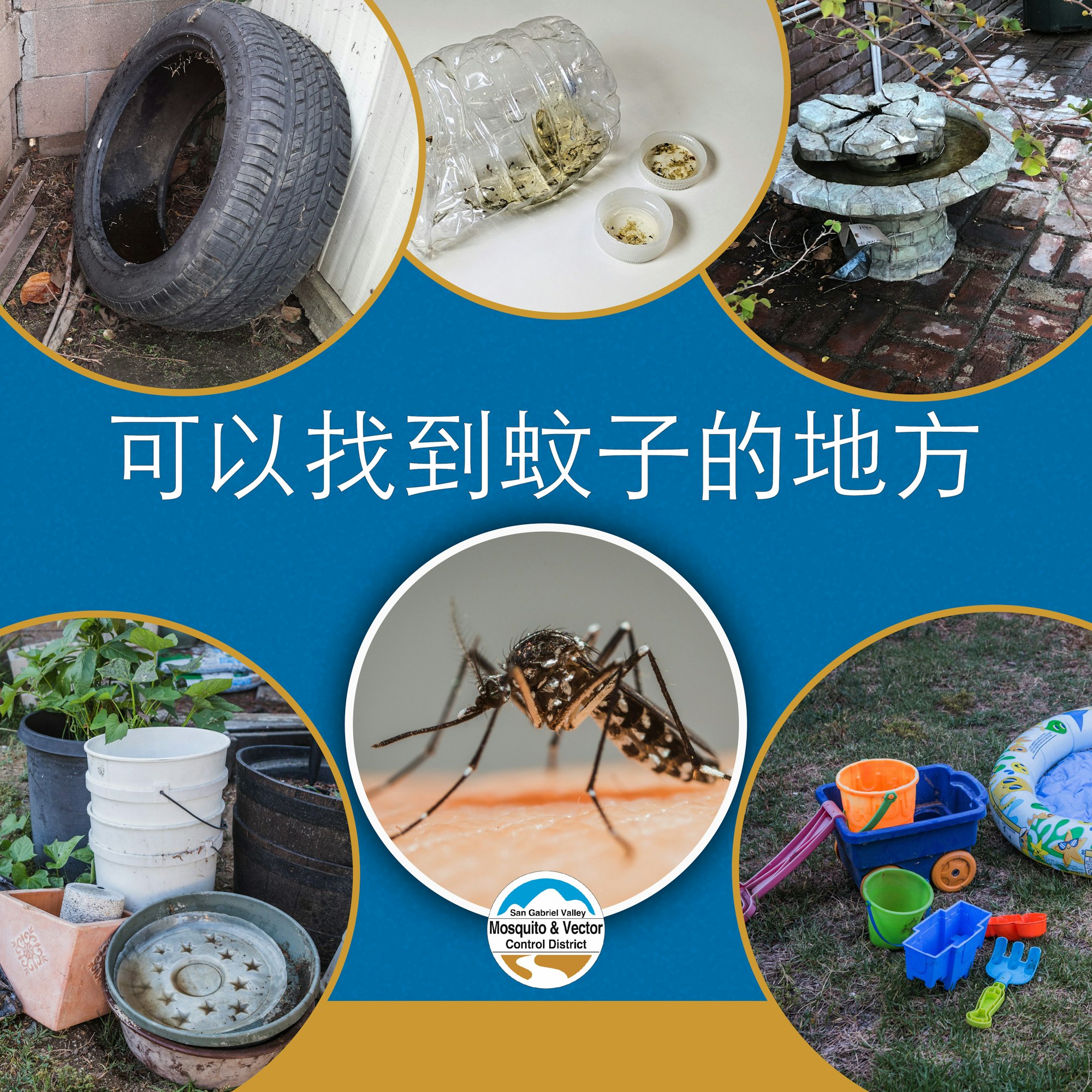May contain: plant, potted plant, jar, planter, pottery, vase, machine, wheel, animal, insect, and invertebrate
