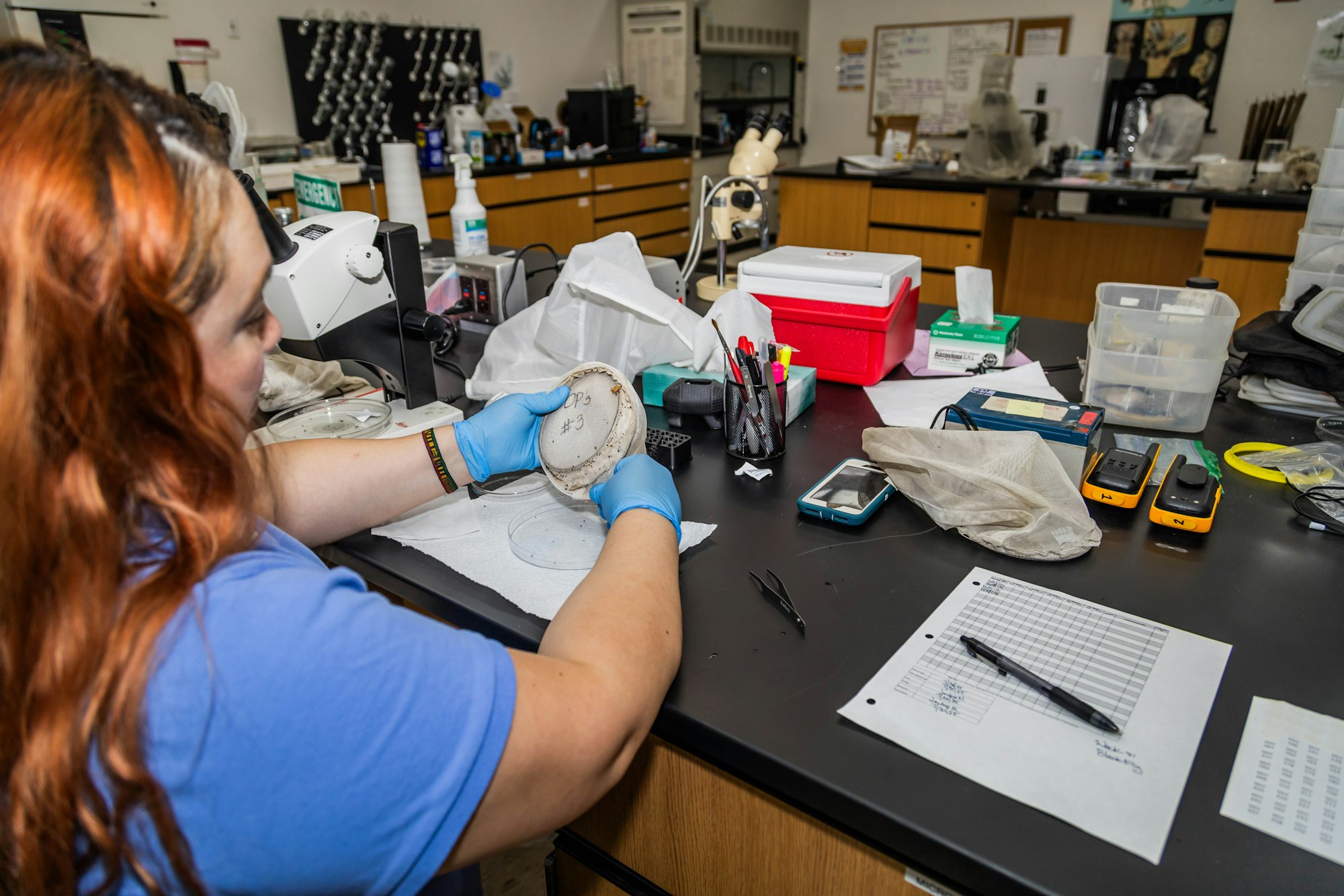 A person in gloves examines a Petri dish in a lab, surrounded by lab equipment, tools, and notes.