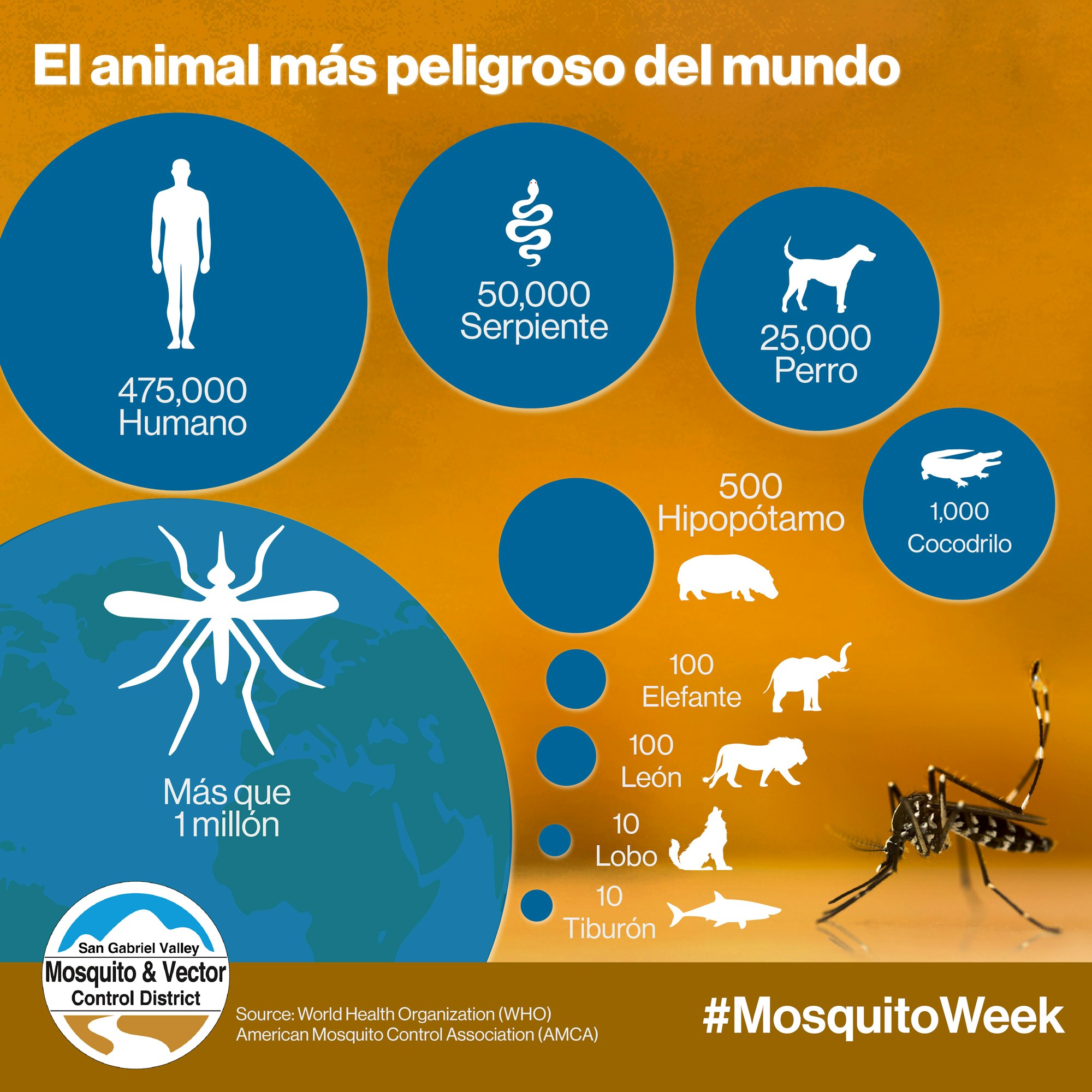 Infographic on the deadliest animals: mosquitoes lead with over 1 million deaths, followed by humans, snakes, and dogs.
